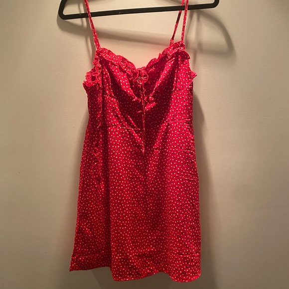 Princess Polly Dresses & Skirts - Princess Polly Love Birds Mini Dress